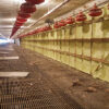 Element Spray Foam - Agricultural Projects