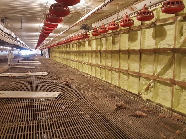 Element Spray Foam - Agricultural Projects