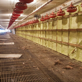 Element Spray Foam - Agricultural Gallery